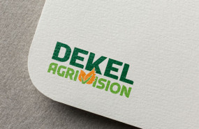 image of the news Dekel Agri-Vision reports strong Q1 for palm oil, cashews