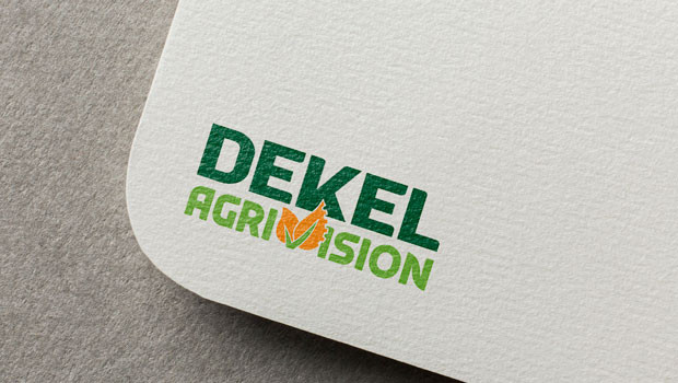 dl dekel agrivision aim oil agri vision palm crude agriculture logo africa