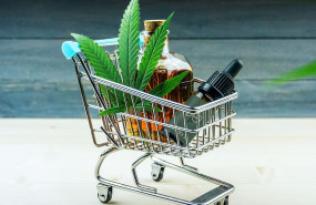 ducreams img notadeprensa 1 ducreams img notadeprensa 1