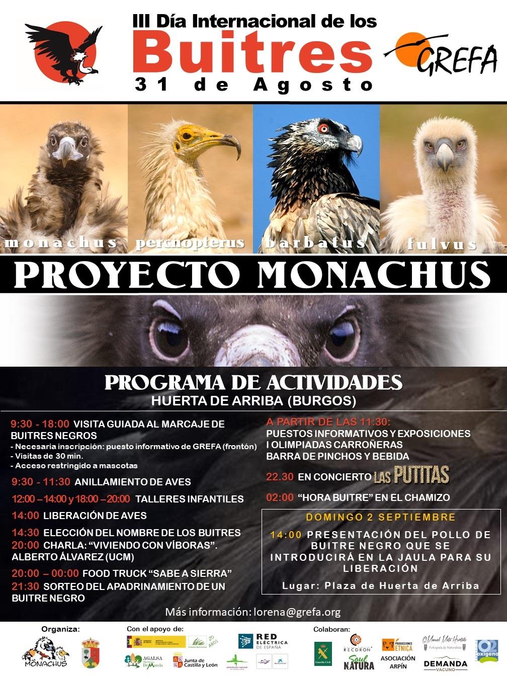Cartel del Día Internacional de los Buitres 25-8-218 | GREFA ep carteldia internacionallos buitres 25-8-218