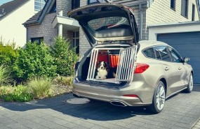 ep ford focus dogbox