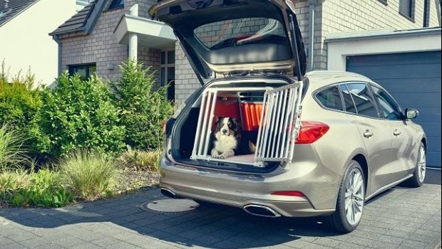 ep ford focus dogbox