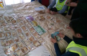 ep la guardia civil desmantelaorganizacion criminalintroducia grandes can