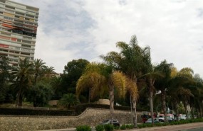 ep la planta afectadalos equiposurgencias