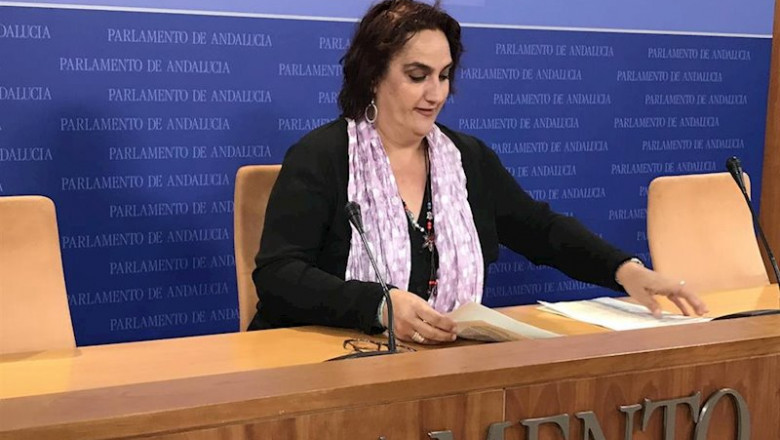 La portavoz adjunta de Adelante Andalucía en el Parlamento andaluz, Ángela Aguilera, en rueda de prensa. (Foto de archivo). | ADELANTE ANDALUCÍA ep la portavoz adjunta de adelante andalucia en el parlamento andaluz angela aguilera en rueda de