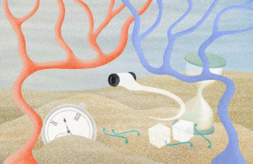 ep para navegar en un entorno complejo el cerebro necesita integrar informacion sensorial relevante