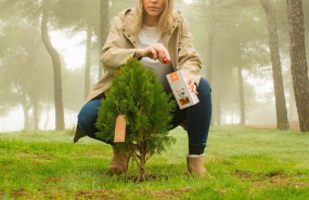 ep trapa planta 10000 arboles para reforestar espana