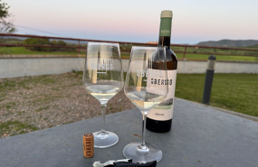 imagen1 20250717093539 imagen1 20250717093539