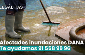 leglitas ayuda legal dana 1 1 