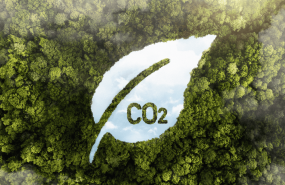 ness huella carbono rd 214 2025