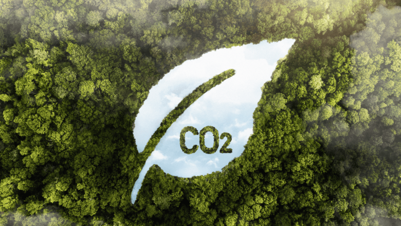 ness huella carbono rd 214 2025