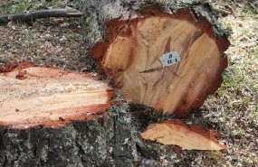 1238579 1659604038284 1238579 1659604038284