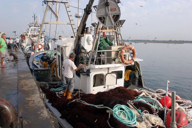 Alba compra el 23,7% de la empresa pesquera Profand por 100 millones de euros