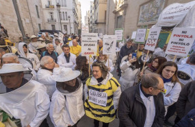 ep archivo decenas de apicultores y agricultores durante una concentracion de las organizaciones ep archivo decenas de apicultores y agricultores durante una concentracion de las organizaciones