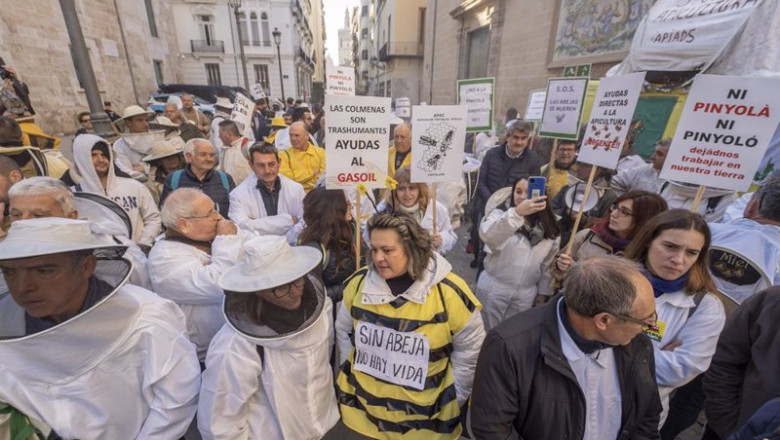 ep archivo decenas de apicultores y agricultores durante una concentracion de las organizaciones ep archivo decenas de apicultores y agricultores durante una concentracion de las organizaciones