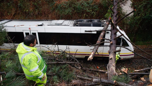 ep archivo   varios bomberos trabajan para quitar el arbol caido y despejar la via