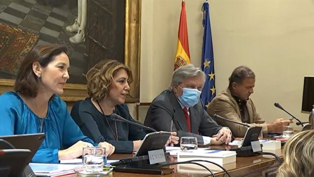 ep comparecencia de la ministra de industria comercio y turismo reyes maroto ante la comision de