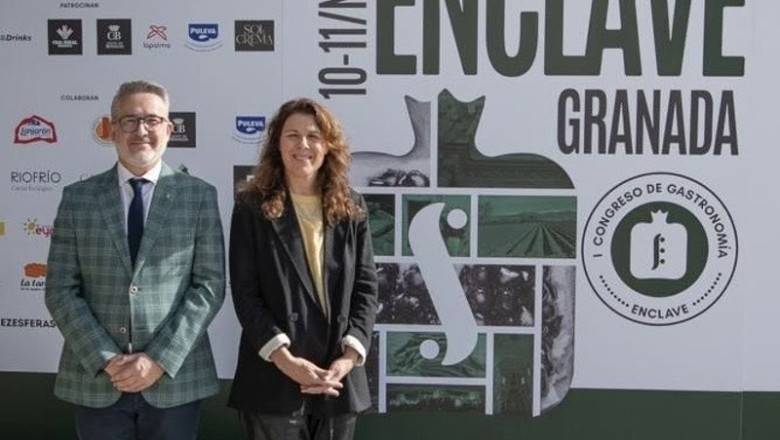 ep el diputado provincial de fondos europeos desarrollo industria y empleo de la diputacion de