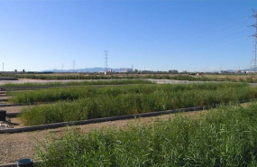 ep imagen de campos de riego agricola