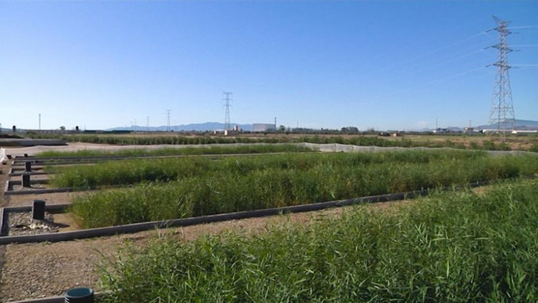 ep imagen de campos de riego agricola