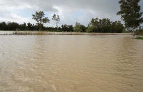 ep la crecida del rio guadalete en jerez de la frontera cadiz tras la ultima borrasca