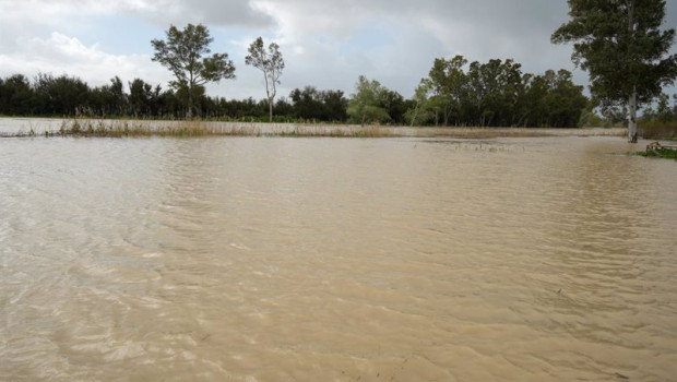 ep la crecida del rio guadalete en jerez de la frontera cadiz tras la ultima borrasca