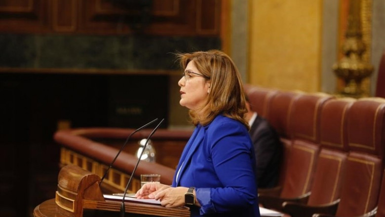 La diputada del PSOE Pilar Cancela, presidenta comisión Igualdad | PSOE - Archivo ep la diputadapsoe pilar cancela presidenta comision igualdad 20190730174604