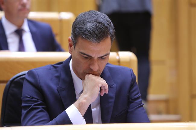 Pedro Sánchez en una sesión de control en el Senado | Ricardo Rubio - Europa Press ep pedro sanchezuna sesioncontrolsenado