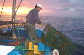 ep pescador 20171121121005