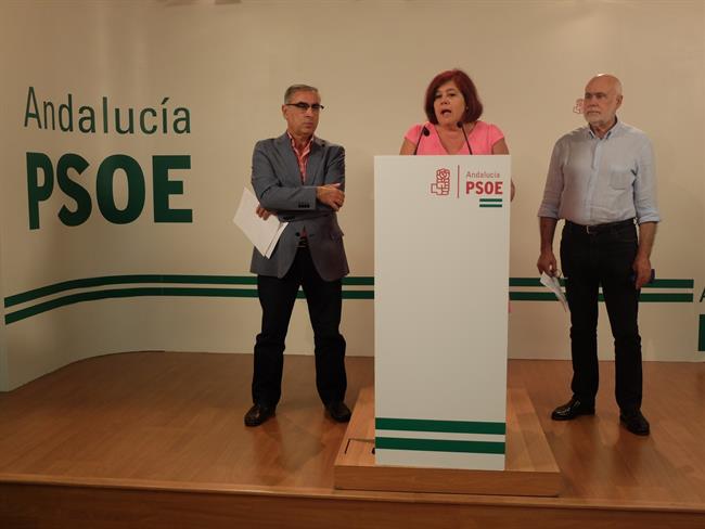 El PSOE provincial hace balance del curso político | PSOE/EUROPA PRESS ep psoe provincialbalancecurso politico