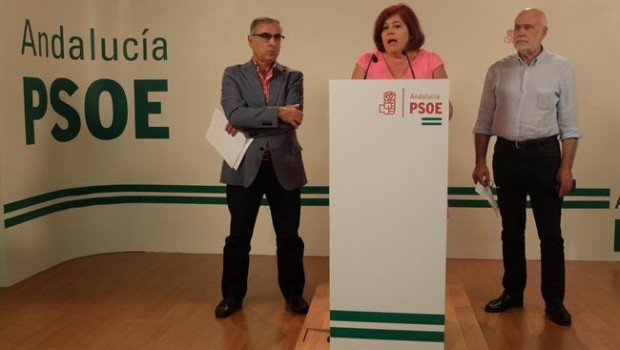 ep psoe provincialbalancecurso politico