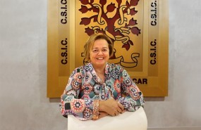 ep rosa menendez nueva presidentacsic