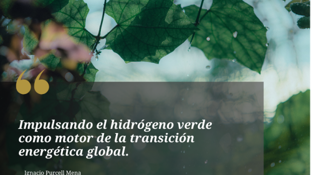 ignacio purcell mena y la apuesta estratgica por el hidrgeno verde