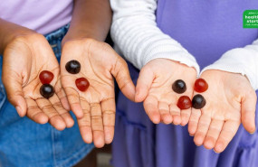 juice plus   healthy starts for families hsf