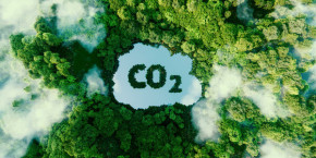 la plateforme sweep qui permet aux entreprises emettrices de carbone de piloter leur strategie carbone propose une methode pour rendre plus vertueux l achat de credits carbone