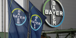 logo et drapeaux de bayer ag a l exterieur d une usine du fabricant allemand de produits pharmaceutiques et chimiques a wuppertal 