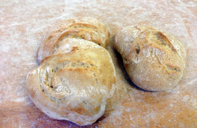 1601403787 img6358 ok baja