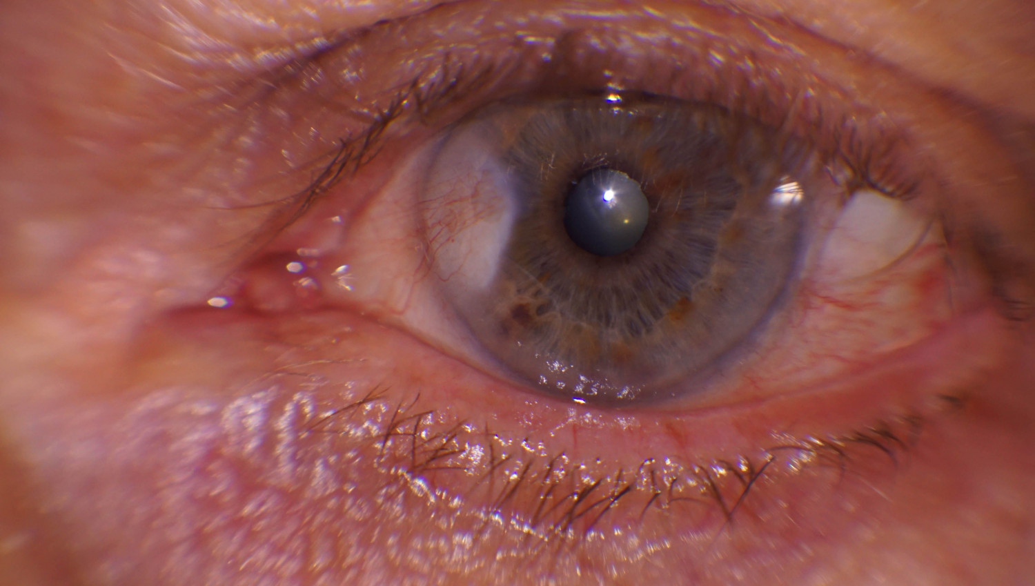 1619730854 optica villena 1 