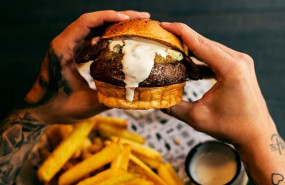 1631519831 spottedweb compressor