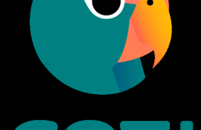 coti imagotipo color 1 1 coti imagotipo color 1 1