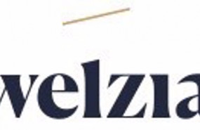 ep archivo   logo de la gestora welzia management