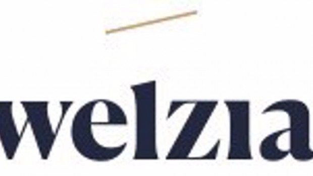ep archivo   logo de la gestora welzia management