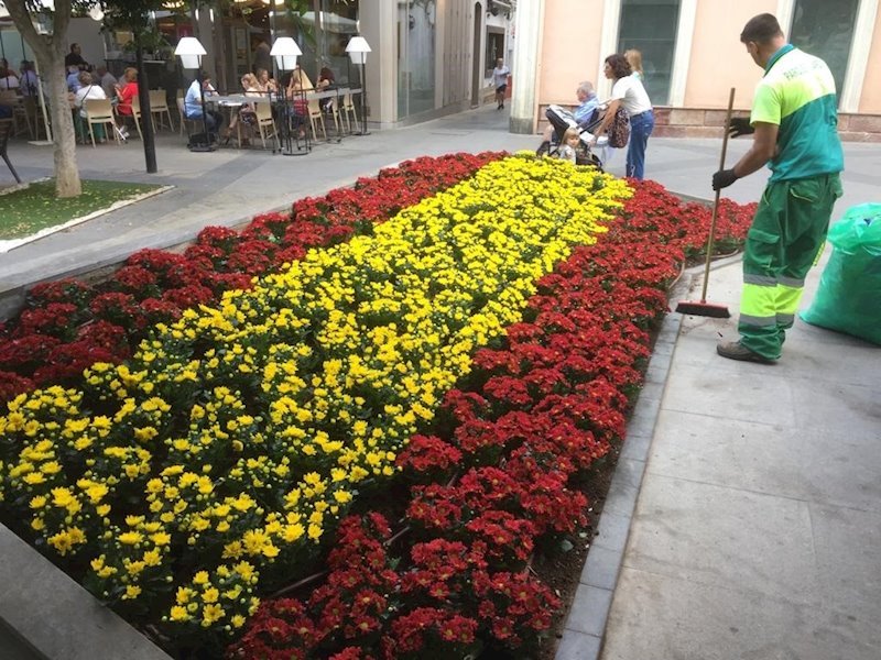 ep bandera de espana confeccionada con flores en una plaza de almeria