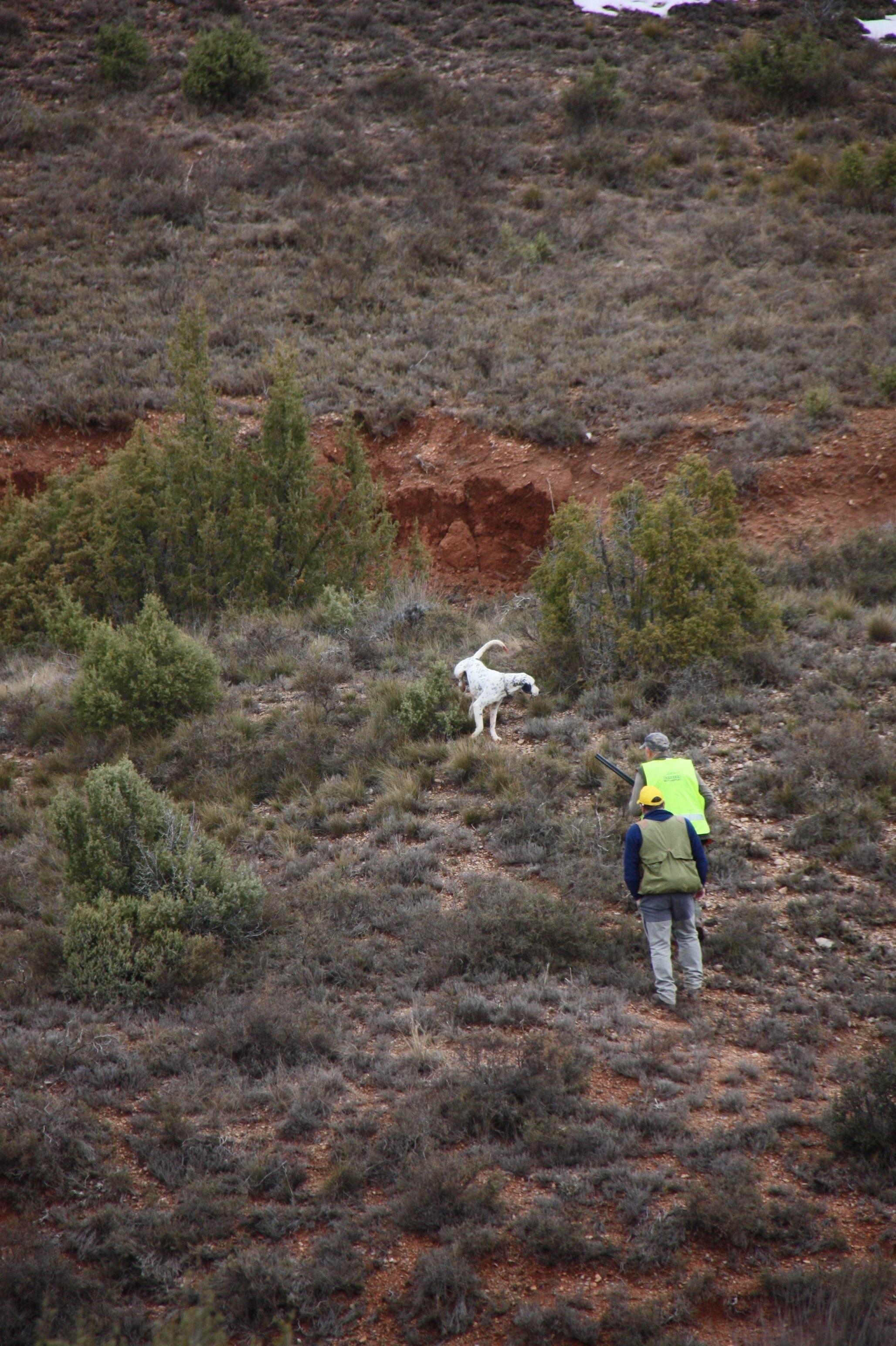 Cazadores en Aragón | GOBIERNO DE ARAGÓN ep cazadoresaragon