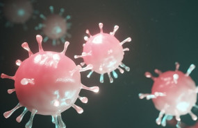 ep coronavirus 20200305111305 ep coronavirus 20200305111305