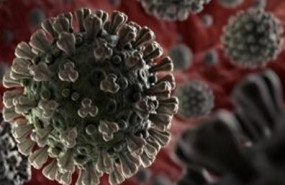 ep coronavirus