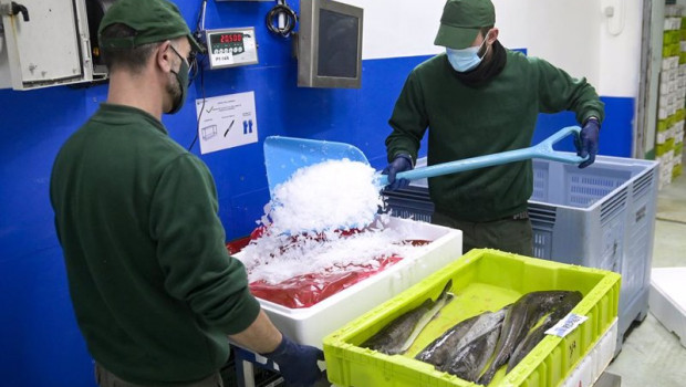 ep dos trabajadores manejan pescado en cajas de plastico en la lonja de a coruna a 18 de marzo de