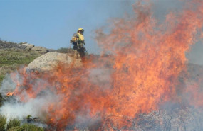 ep imagenun bomberotrataapagar llamaslos incendios forestalesmirafloresla granja segovia