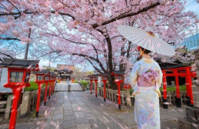 ep young japanese woman in a traditional kimono dress strolls by rokusonno shrine during full bloom ep young japanese woman in a traditional kimono dress strolls by rokusonno shrine during full bloom
