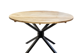 sandra marcos   mesa redonda 1